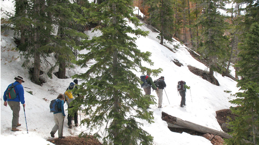 Crossing a Snowpack